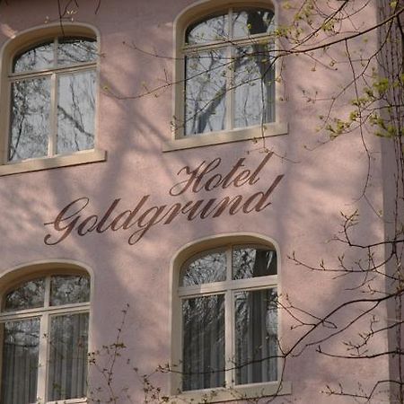 Hotel Goldgrund Meissen Phòng bức ảnh